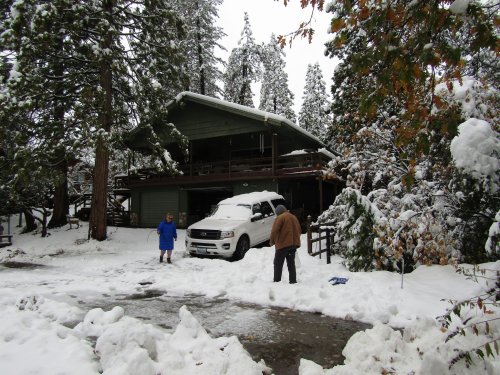 kids in the snow